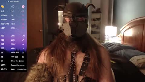 kinkywolf87 online show from 12-03-24, 07:21