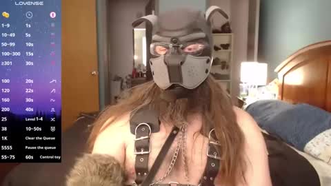 kinkywolf87 online show from 12-06-24, 06:50