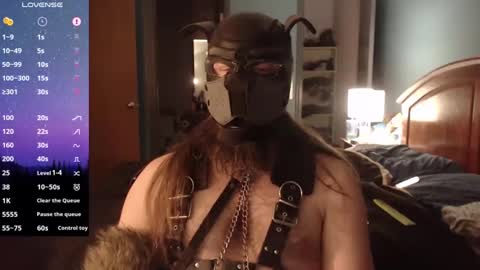 kinkywolf87 online show from 12-20-24, 07:12
