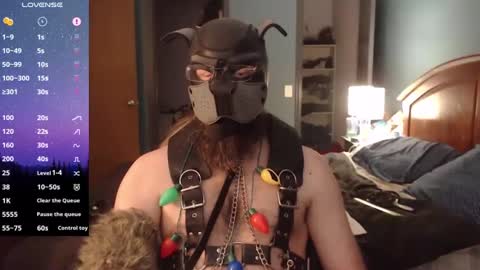 kinkywolf87 online show from 12-24-24, 08:05