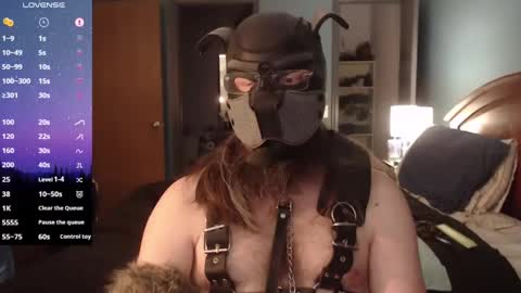 kinkywolf87 online show from 02-02-25, 09:56