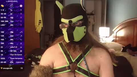kinkywolf87 online show from 09-24-25, 06:44