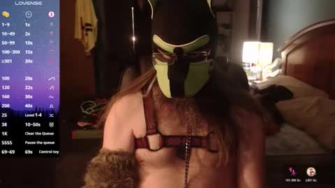 kinkywolf87 online show from 04-26-26, 06:33