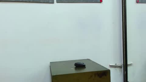 Snapshot of kira_mackenzie chatting on 02-27-25, 03:26 kira online show from 02-27-25, 03:26