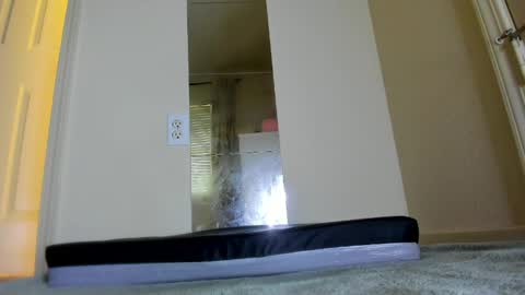 kira_mask online show from 05-19-26, 08:26