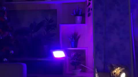 Kira    online show from 02-16-25, 04:42