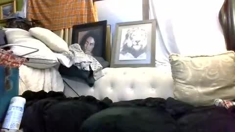 Snapshot of kishan2525 chatting on 03-07-26, 09:06 Kishan2525 online show from 03-07-26, 09:06