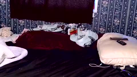 kittenkayla26 online show from 04-09-26, 03:17