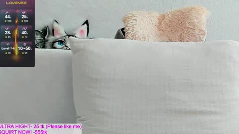 Kitty online show from 04-14-26, 10:54