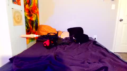 babygirlkitty online show from 10-11-25, 08:13