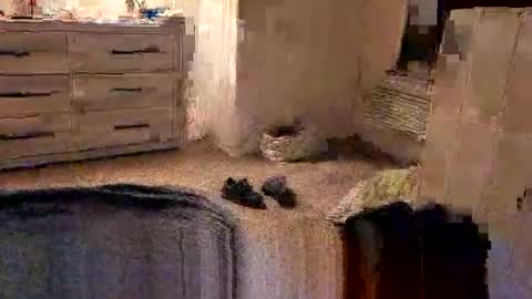 kittykat175154 online show from 02-27-26, 10:04