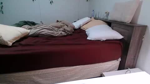 Kittyymaze online show from 12-18-25, 12:44