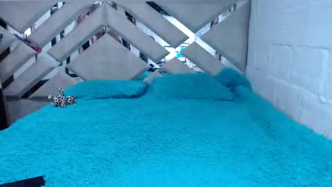 kittyzevee_ online show from 02-08-25, 01:11