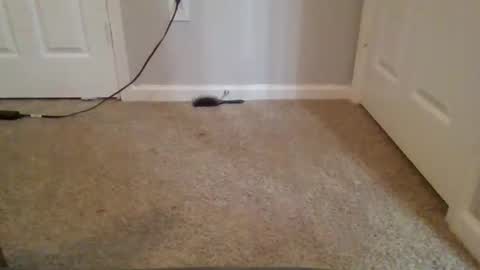 kkristy07 online show from 02-21-26, 02:56