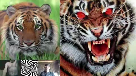 kodiakpm1 online show from 12-03-24, 08:38