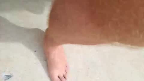 Snapshot of kramit1222 chatting on 09-24-25, 04:43 kramit1222 online show from 09-24-25, 04:43