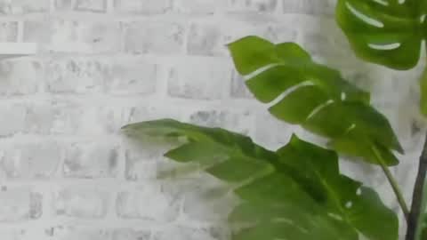 Kristi online show from 12-15-24, 09:45