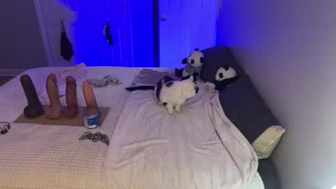 Kristin Snow online show from 09-17-25, 04:47