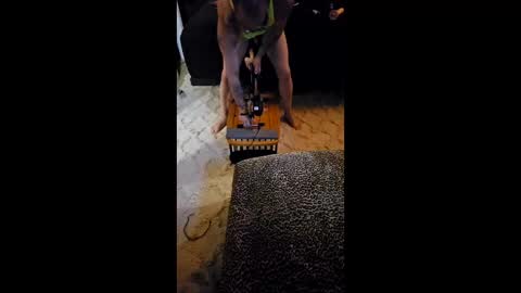 krystltymeup online show from 03-11-26, 11:00