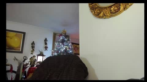 kyhara online show from 12-23-24, 01:51