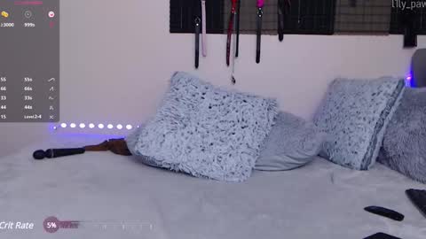 Snapshot of l1ly_paw chatting on 01-20-25, 11:32 Lily Paw online show from 01-20-25, 11:32