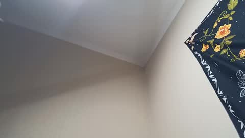 Adonis online show from 02-28-25, 04:32