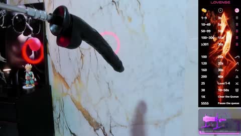 AMAZONA  online show from 01-08-26, 07:27