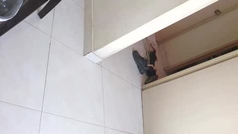 Bruno Smith online show from 12-20-25, 06:04