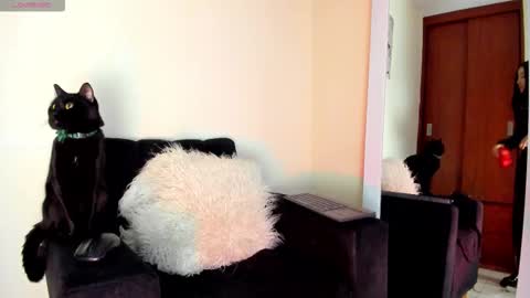 lace_victoria online show from 01-07-26, 06:54