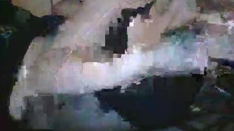 lady24x online show from 04-29-26, 02:48