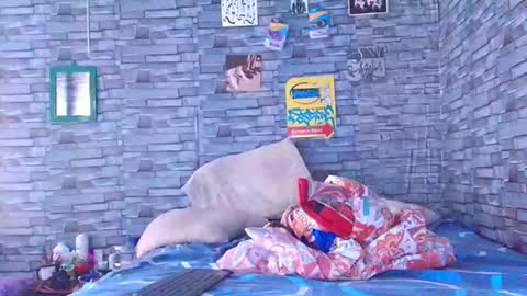 Lady godss online show from 12-01-25, 07:08