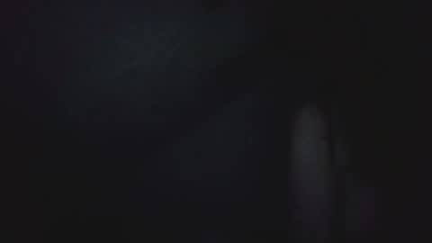 I work 5PM to 9 PM EST  New York online show from 04-25-26, 09:45