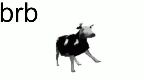 just call me Lana  and her security online show from 02-07-25, 11:12