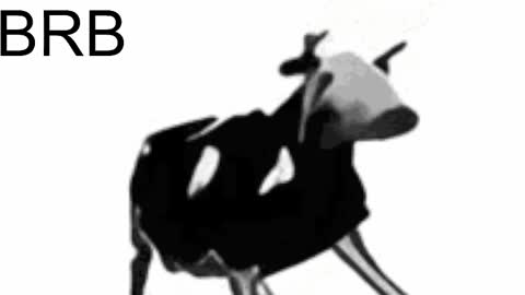 just call me Lana  and her security online show from 02-15-25, 05:28