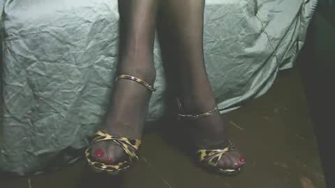 Snapshot of lana_legs53 chatting on 04-19-26, 05:51 lana_legs53 online show from 04-19-26, 05:51