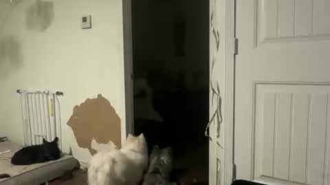 Snapshot of lanasharapovaxxx chatting on 02-18-26, 12:28 lanasharapovaxxx online show from 02-18-26, 12:28