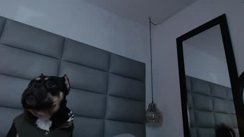 lara online show from 12-31-24, 12:00