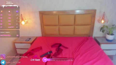 Snapshot of larsonmia chatting on 12-30-24, 03:35 MIA online show from 12-30-24, 03:35