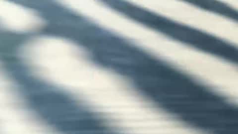 Snapshot of latinlover199518 chatting on 05-09-26, 07:08 latinlover199518 online show from 05-09-26, 07:08