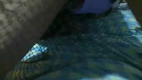 Snapshot of latinoboi2 chatting on 04-01-26, 04:57 latinoboi2 online show from 04-01-26, 04:57