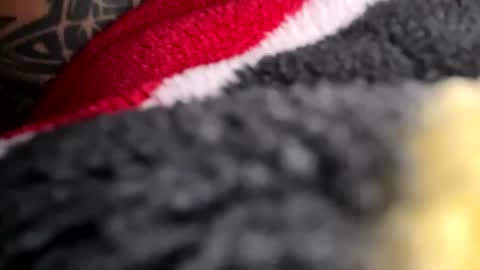 Mexakin online show from 11-16-25, 08:58