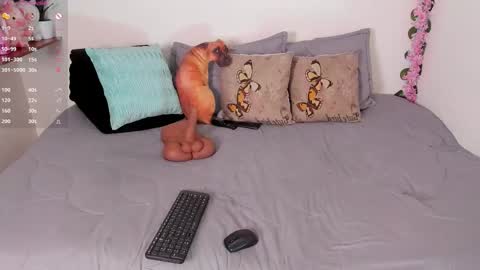 laura1__ online show from 12-15-25, 11:31