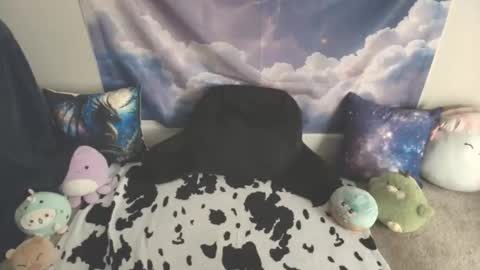 LauraChan online show from 03-09-26, 01:20