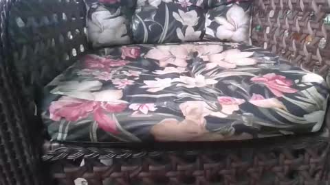 kelly online show from 02-15-26, 08:05