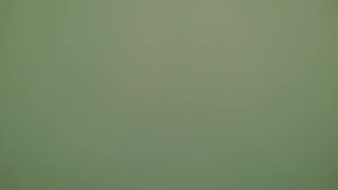 Michel online show from 11-28-25, 06:32