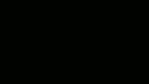 Ebony DeafGuy online show from 06-13-26, 08:12