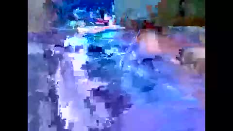 Snapshot of leemen33 chatting on 12-04-25, 07:39 Michael online show from 12-04-25, 07:39