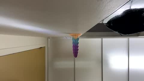 LeGrandAnneau online show from 01-29-25, 03:44