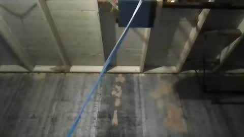 leo199984 online show from 11-09-25, 05:17