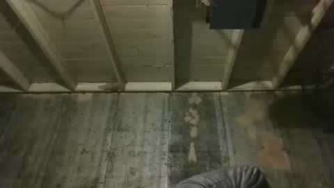 leo199984 online show from 12-19-25, 03:24